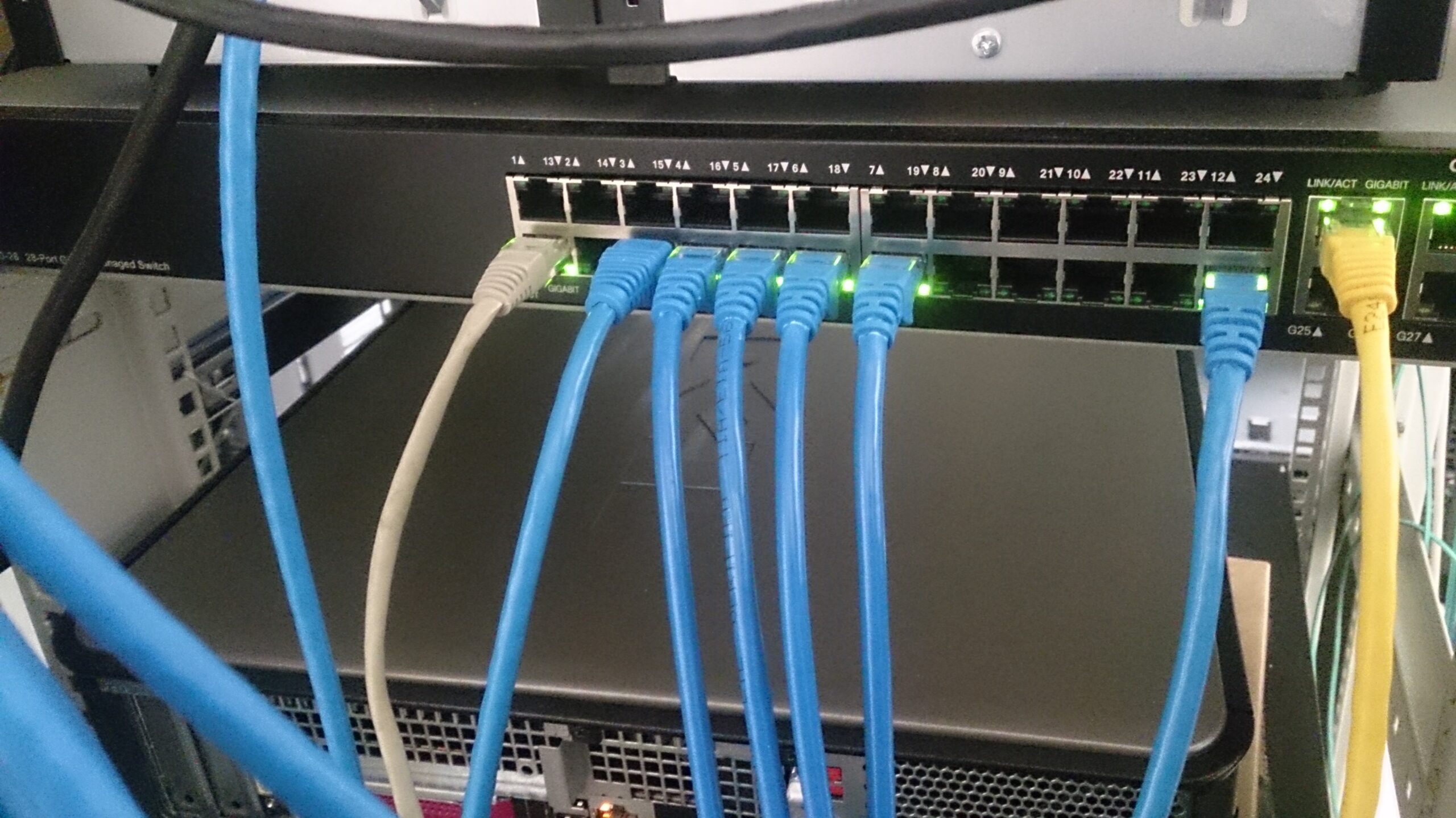 Multiple network cables plugged into ports on a network switch.